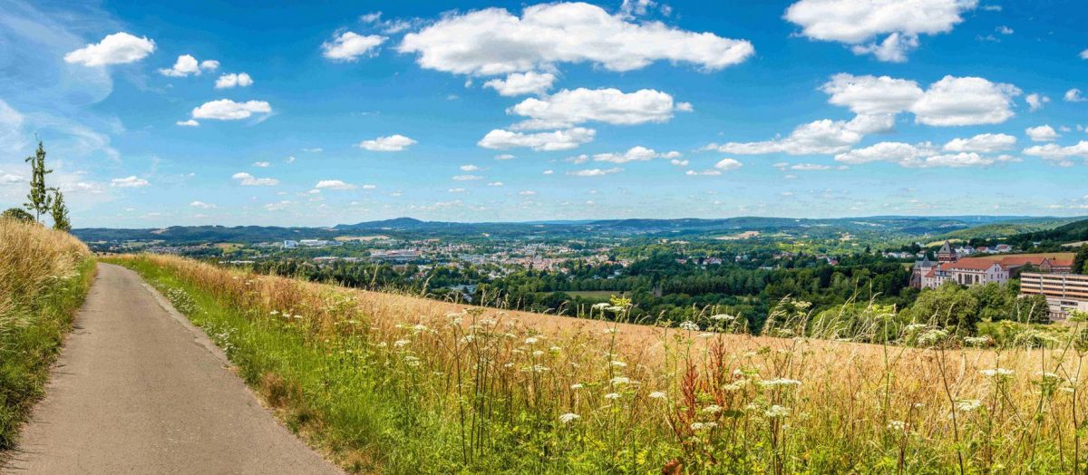 Aussicht vom Panoramaweg auf die Stadt St. Wendel und die hügelige Umgebung. Im Vordergrund zu sehen ist der Weg sowie goldene Felder.